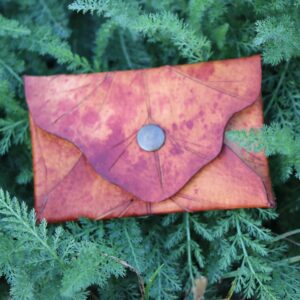 Mincovka Ancient Oak