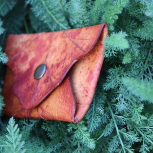 Mincovka Ancient Oak