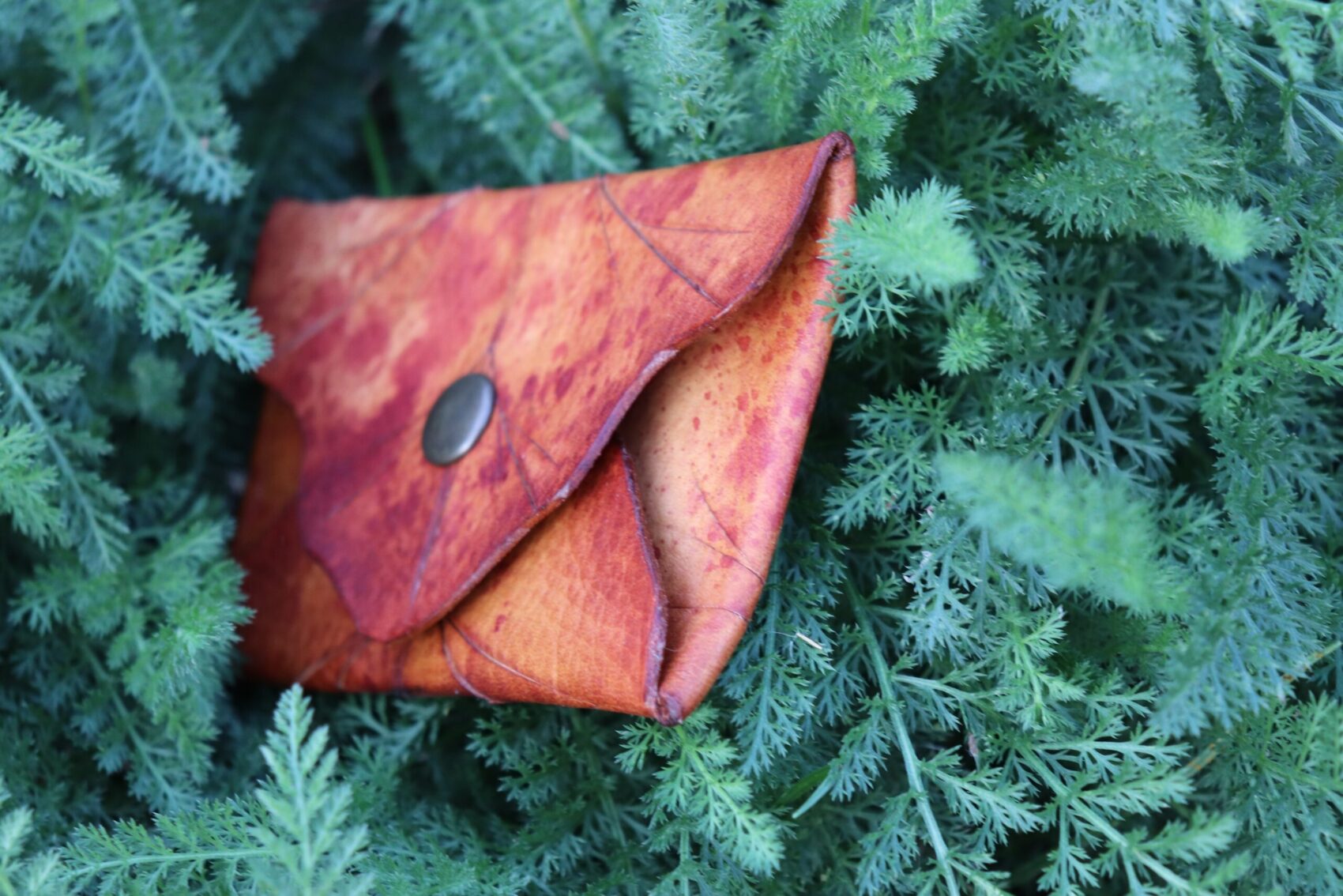 Mincovka Ancient Oak - Image 2